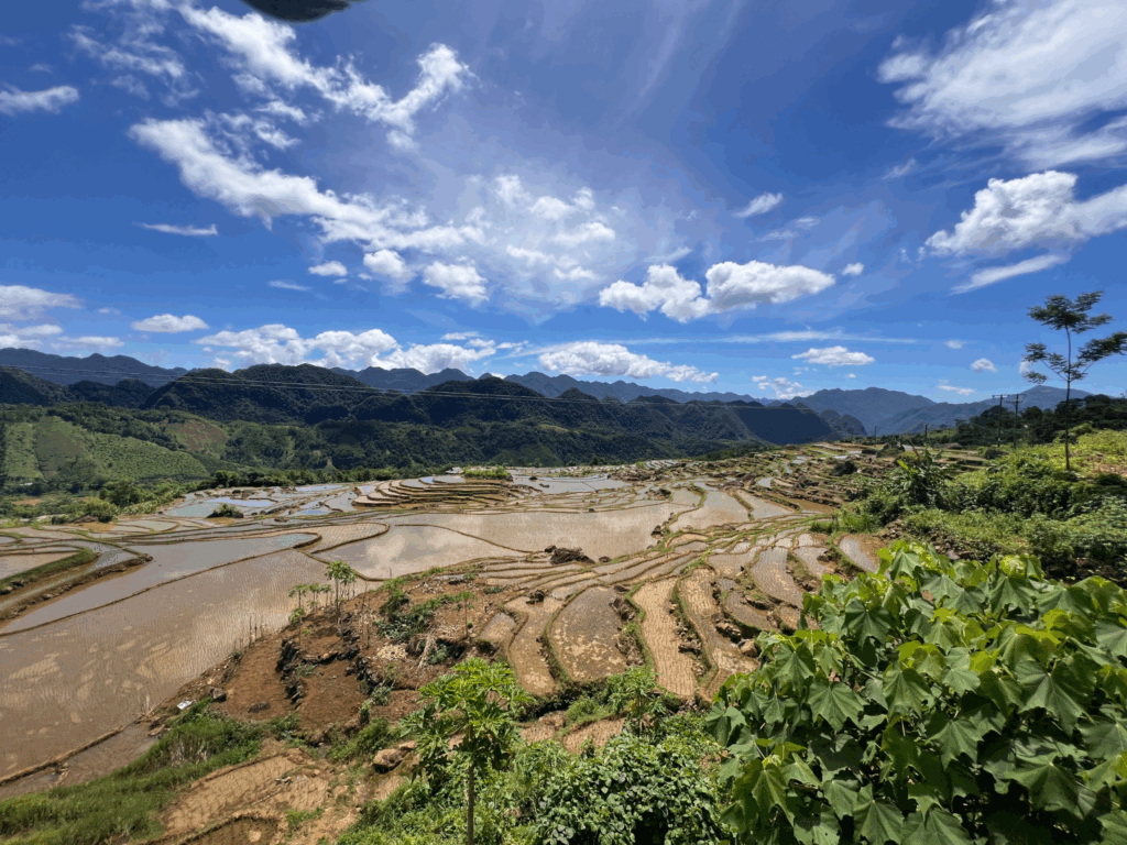 Voyage sur mesure : Lotus Aventure