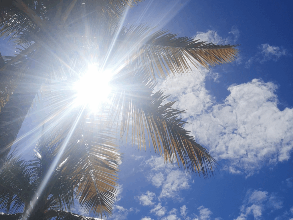 Conseil Travel Planner Famille. Choix de destination en famille.