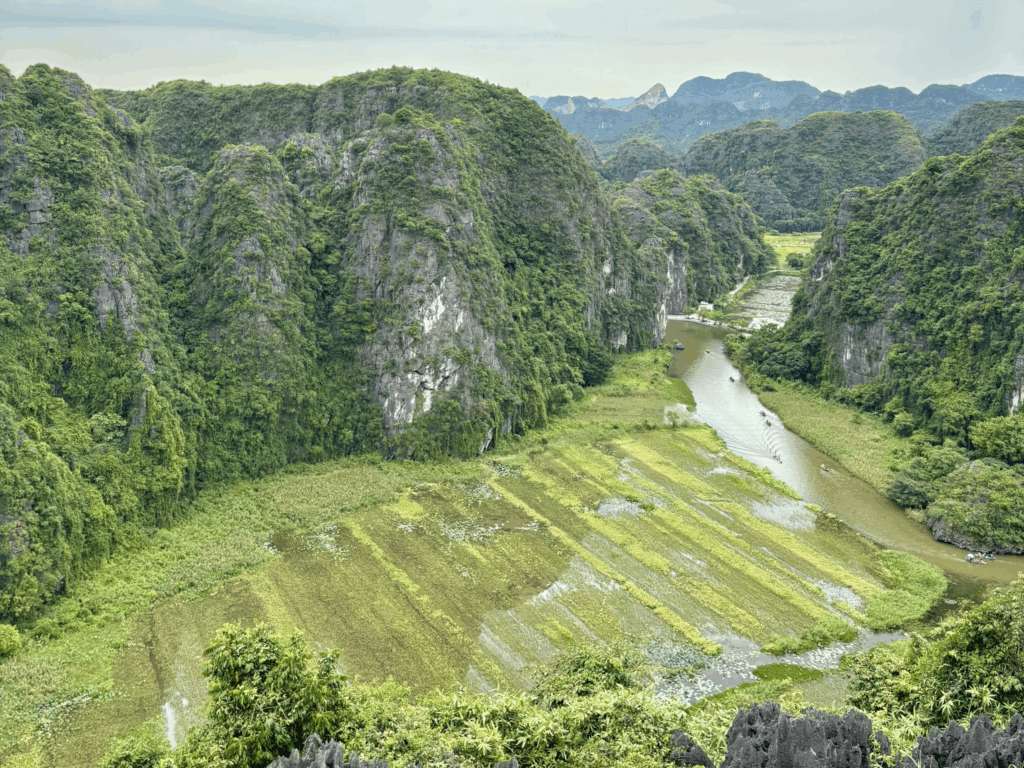 Voyage nature et aventure en famille. Lotus Family 