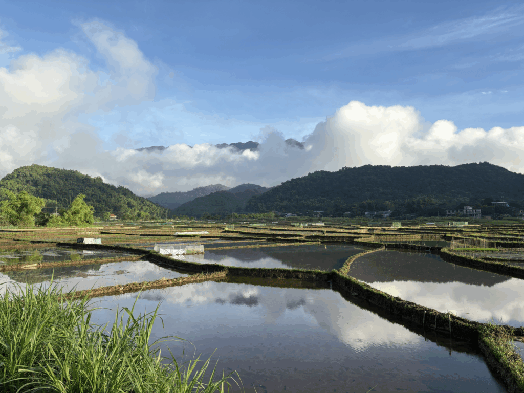 voyage découverte et itinéraire sur mesure en famille. Lotus Family Travel